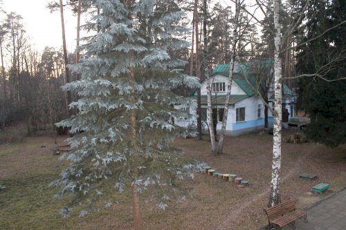 Пансионат для пожилых Королев (мкр. Первомайский)